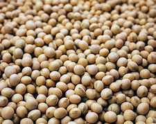 Soybeans