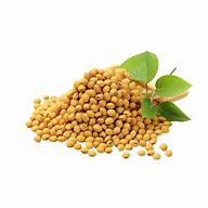 Soybeans