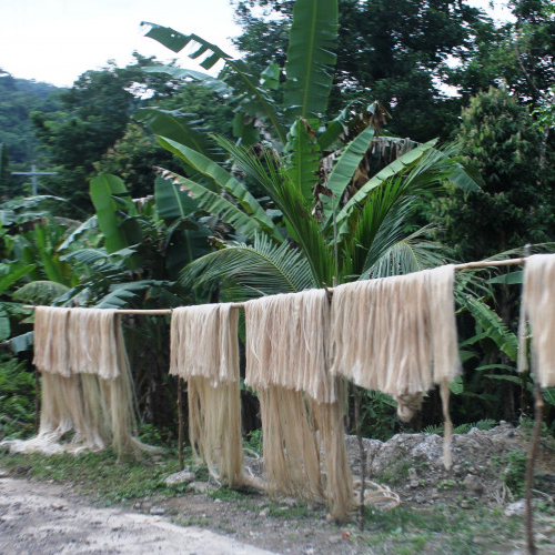 Banana Fiber