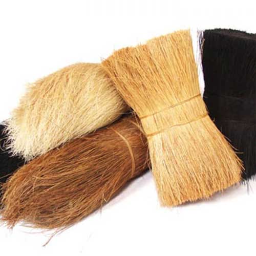 Bristle Coir Fiber