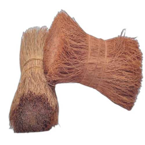 Bristle Coir Fiber