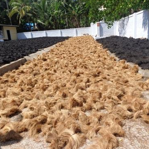 Bristle Coir Fiber