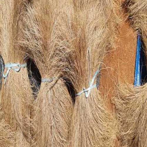 Bristle Coir Fiber