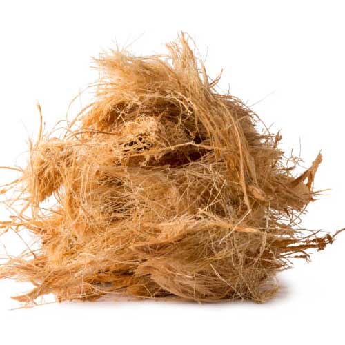 Coco Fiber 