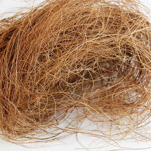 Coconut Coir Fiber