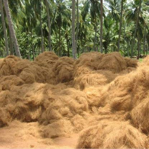 Coconut Coir Fiber