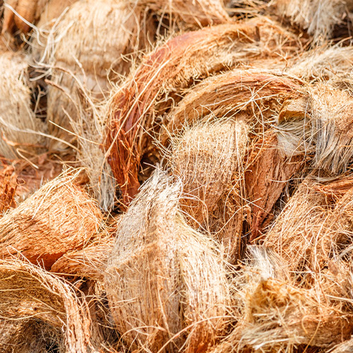 Coconut Coir Fiber