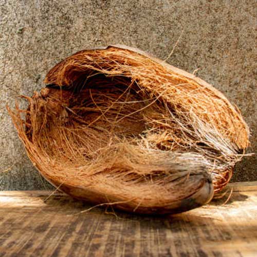 Coconut Coir Fiber