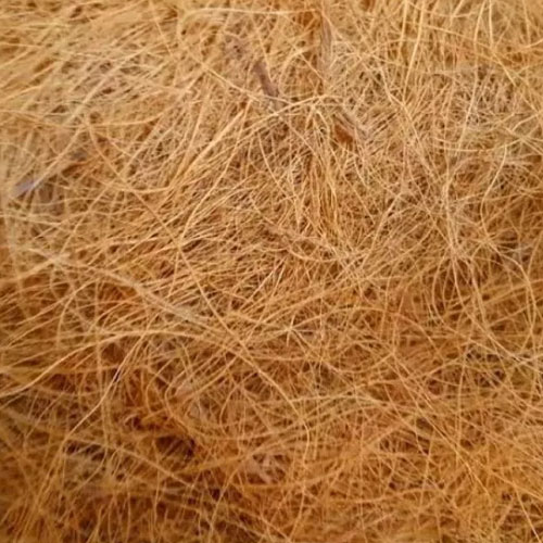 Coconut Coir Fiber