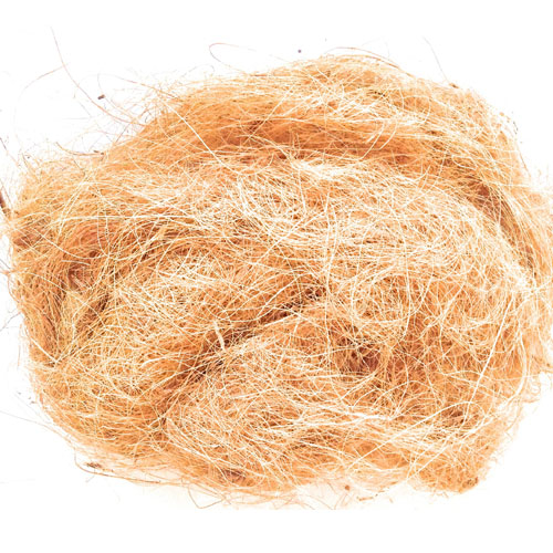 Coconut Coir Fiber