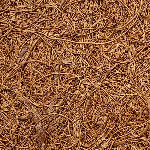 Coir Fiber