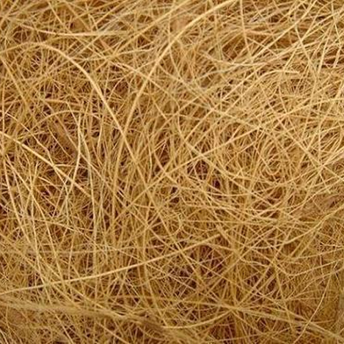 Coir Fiber