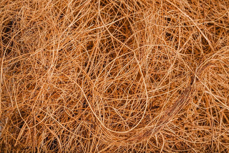 Husk Fiber