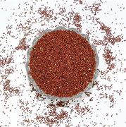Finger Millet Seeds