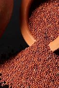 Finger Millet Seeds