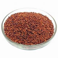 Finger Millet Seeds