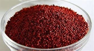 Finger Millet Seeds