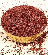 Finger Millet Seeds