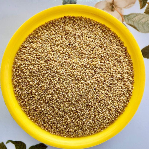 Foxtail Millet Seeds