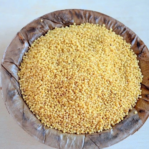 Foxtail Millet Seeds