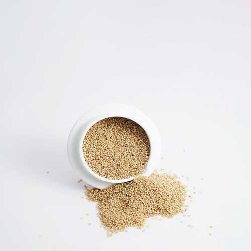 Foxtail Millet Seeds