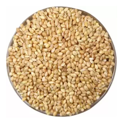 Foxtail Millet Seeds
