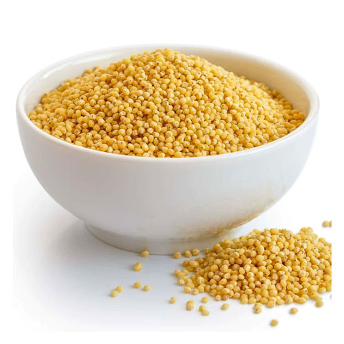 Foxtail Millet Seeds
