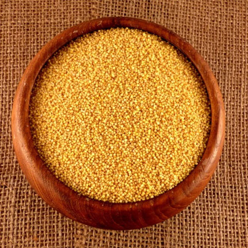 Foxtail Millet Seeds