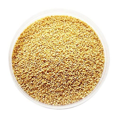 Millet Seeds