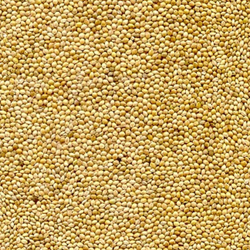 Millet Seeds