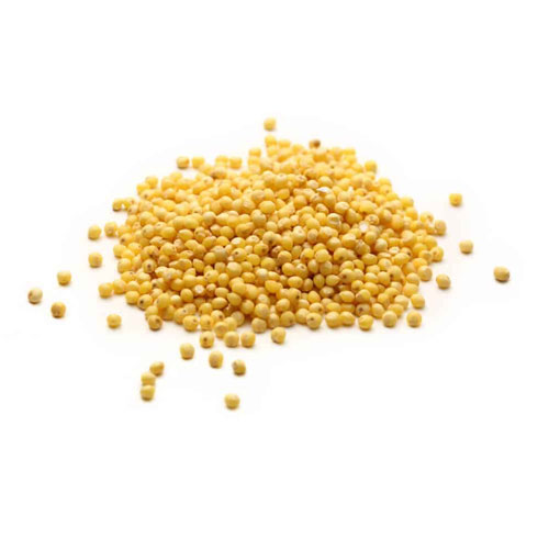 Millet Seeds