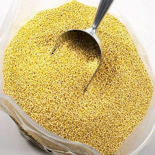 Millet Seeds