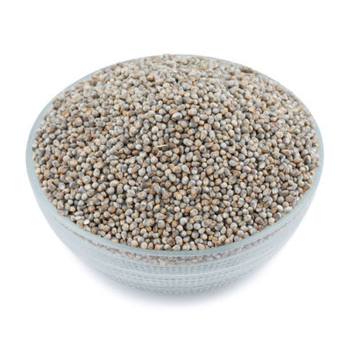 Pearl Millet Seeds