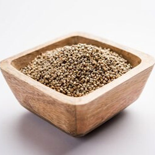 Pearl Millet Seeds