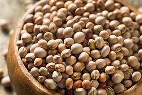 Pigeon Peas