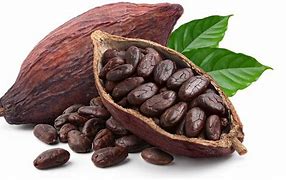 Cocoa Beans
