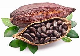 Cocoa Beans