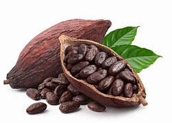 Cocoa Beans