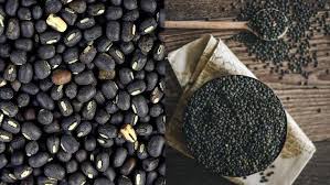 Black Gram