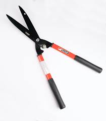 Hedge Shears