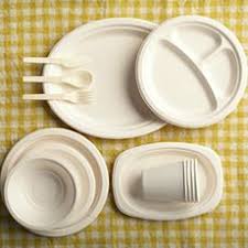 Disposable Crockery