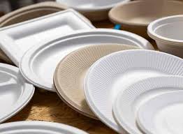 Disposable Crockery