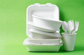 Disposable Crockery