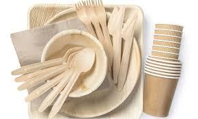 Disposable Crockery