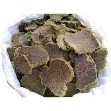 Cotton Seed Oil Cake