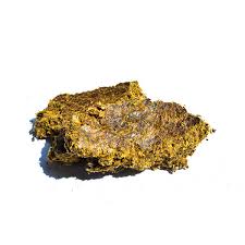 Cotton Seed Oil Cake