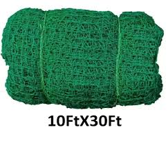 Cricket Net